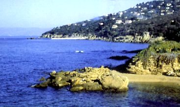 Criques sauvages
