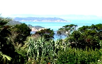 Paysage exotique